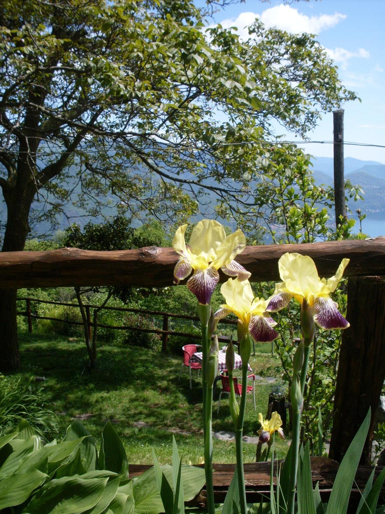 Agriturismo Da Attilio Cannobio Esterno foto