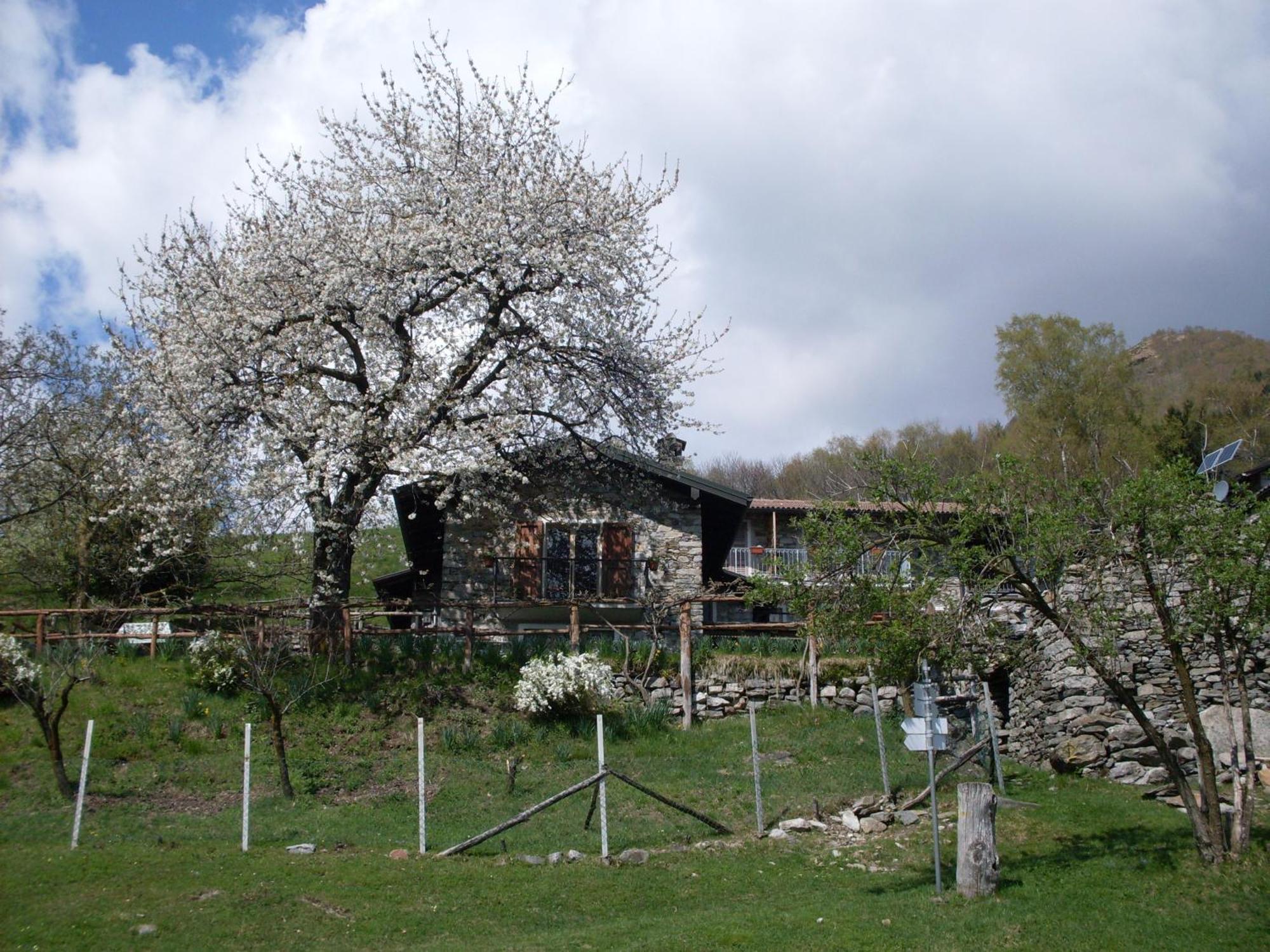 Agriturismo Da Attilio Cannobio Esterno foto