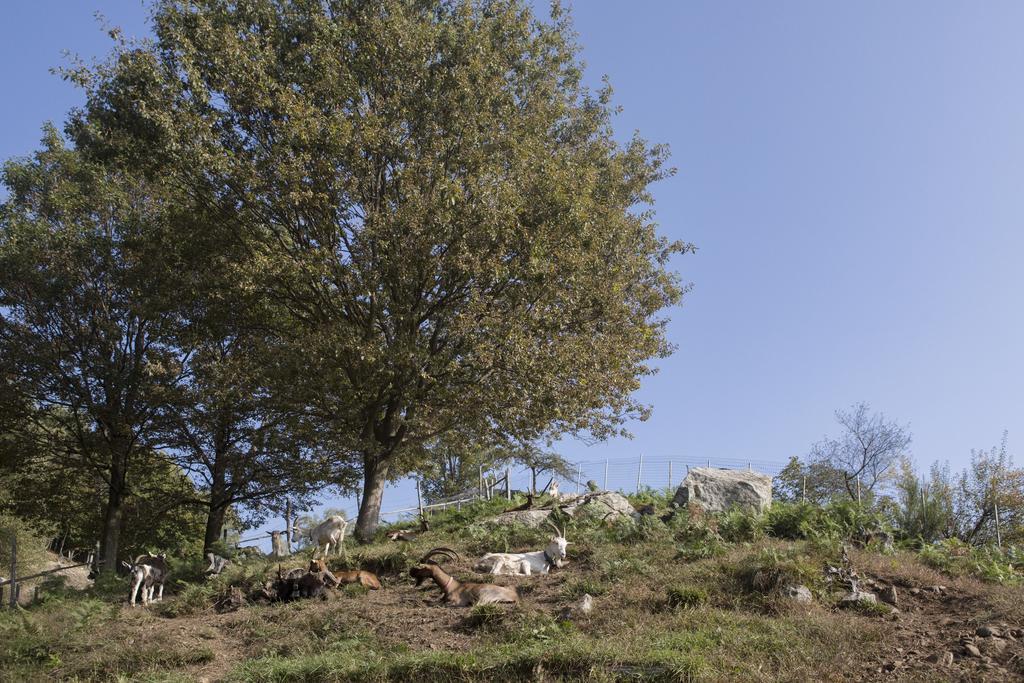Agriturismo Da Attilio Cannobio Esterno foto