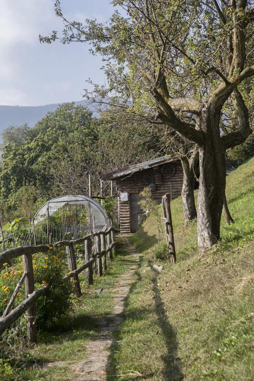Agriturismo Da Attilio Cannobio Esterno foto