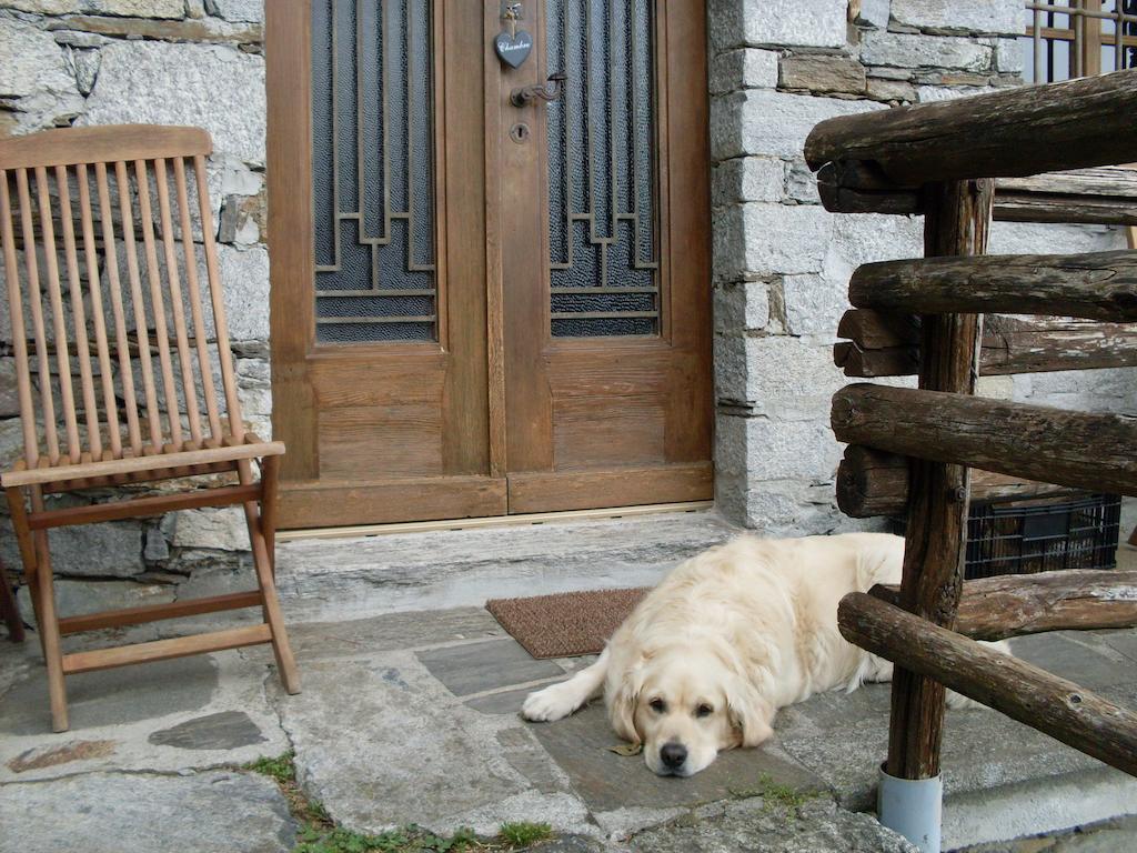 Agriturismo Da Attilio Cannobio Camera foto