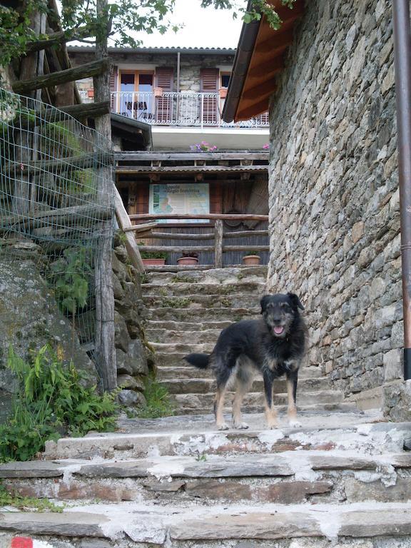 Agriturismo Da Attilio Cannobio Esterno foto
